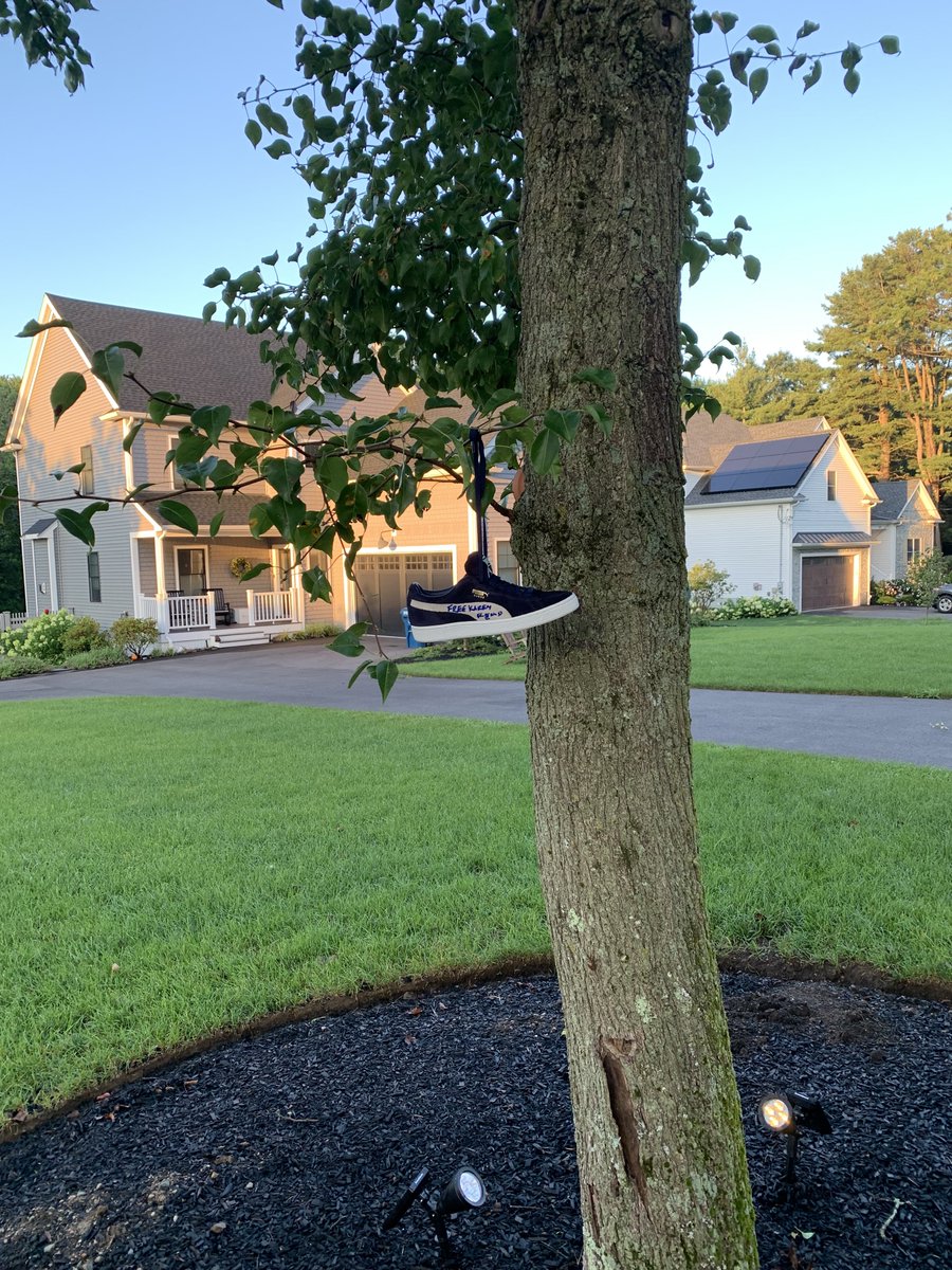 bostonmikeeey's tweet photo. Check out the new birdhouse!
@CantonCoverup @CantonFire1 @CantonMAPolice @ChiefRafferty @BethKaras
@DoctorTurtleboy
#karenreadwasframed
#12hoursneaker
#Turtlecrossing https://t.co/1fOY7HPKRW