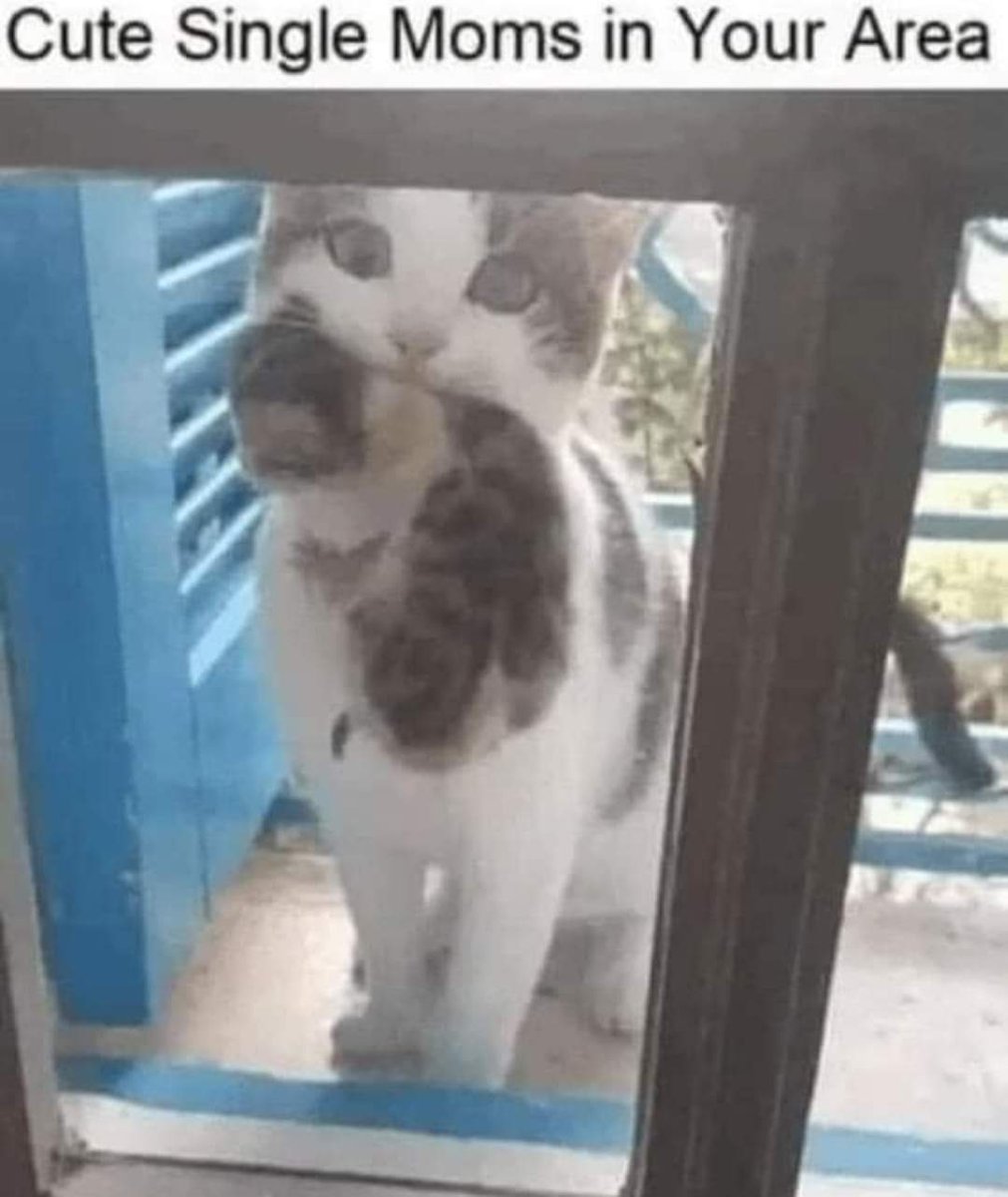 blblcomedy's tweet image. Why is Twitter just an "X" Now? This place is weird. Oh well back to...