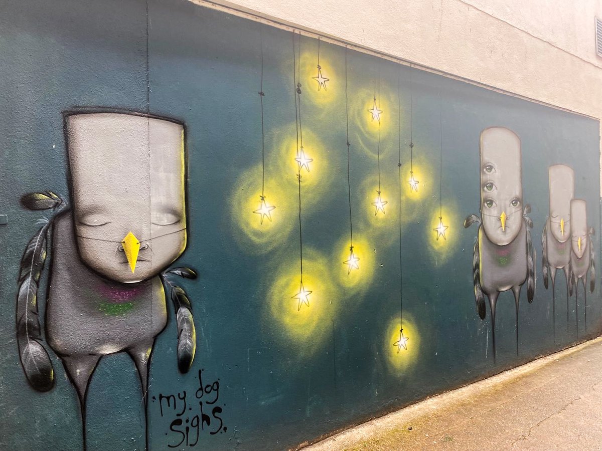 Exeter City Council tweet media