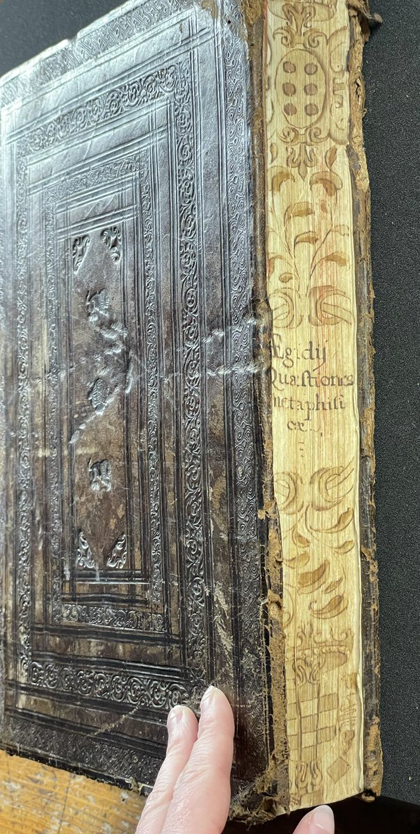 RareBookYvette's tweet photo. What a treat! A closed #foreedge title on luscious leather binding. 

A lovely example of a title painted on the fore-edge of the bookblock. Commonly found on late medieval books which were stored with fore-edges outwards to the 17th century. #ForeedgeFriday https://t.co/KkSkEoIgFz
