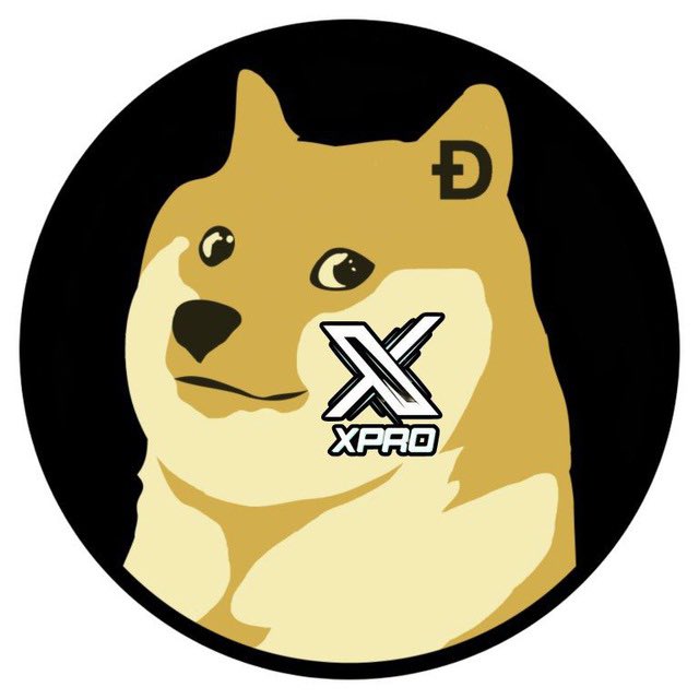 cryptogems555's tweet photo. Meme Pump Coming!🚀
#DogeXPro ETH launching soon
👇👇
https://t.co/WW7QGicpvT
0x9257c717610e810f69ff3382c84d95837372c7cd
Snipe method - Open trading
Xpro + Doge trend 🔥
Web: https://t.co/cvgOiReaD2 https://t.co/LoImd1pz6w