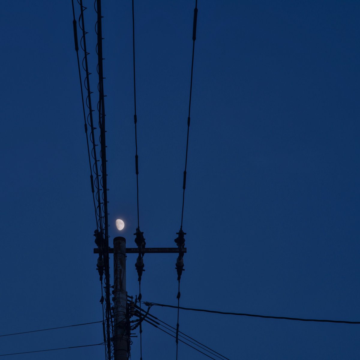 ZaiLifeart30300's tweet photo. 「私の写真をつぶやく」
月が電柱の上に、小さくて大きい。
#oitaprefecture #大分カメラ部 #大分写真展 #写真好きな人と繋がりたい https://t.co/xnGs4FfRED
