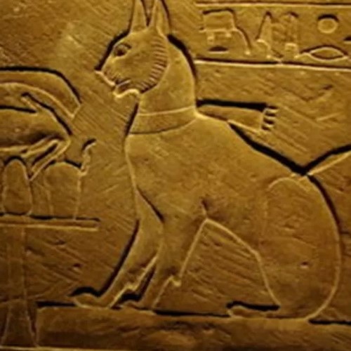 Focus Storia tweet media