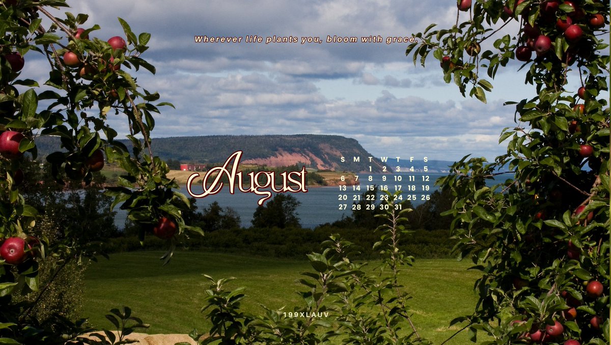 199XLAUV's tweet photo. august desktop wallpapers 🎐🌿 https://t.co/HazQKNo2rU