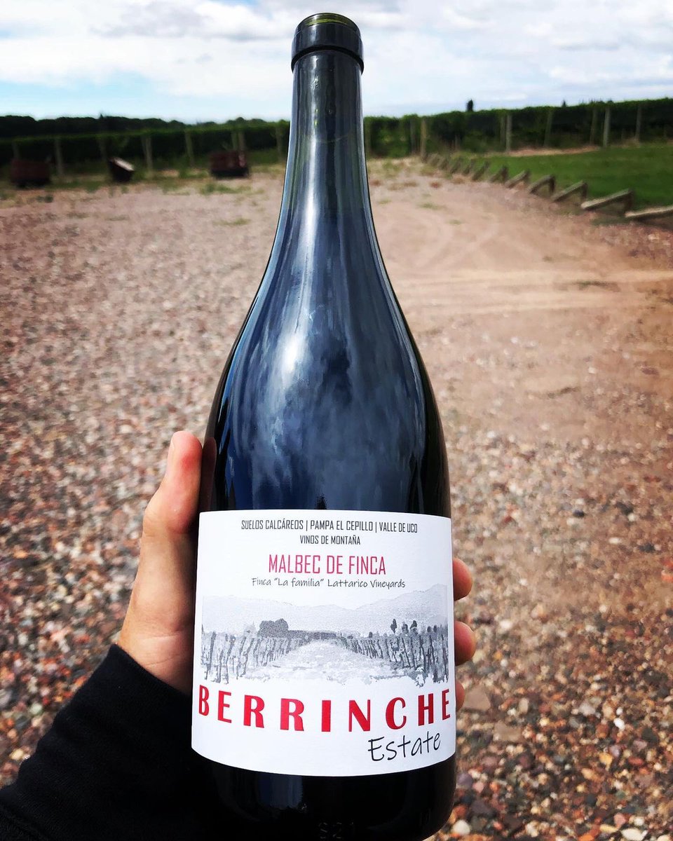 fincasLattarico's tweet photo. Más y más de Nuestros Varietales: @fincasLattarico 
Enólogo: @PabloBassin 
Equipo LattaricoWines 
@avilacristian18 https://t.co/n2T9juKtLc