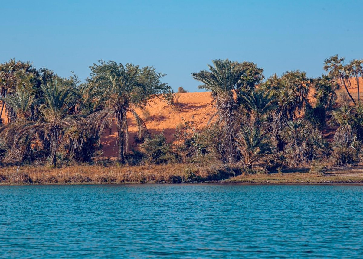 AliyuJardon's tweet photo. This is my home state.
Yobe State, Nigeria. https://t.co/cnwDF8dqLI