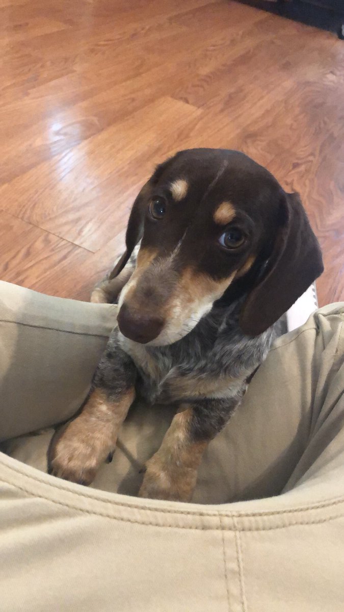 jayharttt's tweet photo. Wish Rico was still around to meet Stanley. Rico wouldn’t have been phased. Stanley would’ve definitely freaked out. https://t.co/Tk7O6yEwtH