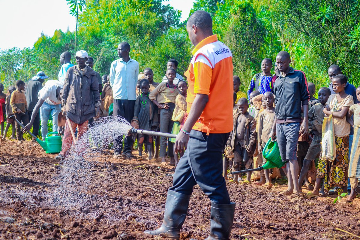 Gitega's tweet photo. Abenegihugu barimira  mu mwonga wa #Mutwenzi bava ku mitumba ya #Birohe , #Nyakibingo, #Mugutu, #Rutegama na #Higiro baronkejwe na @WVBurundi  imbuto z'ibitunguru, ikaroti n’irengarenga zifise agaciro ka 3.500.000 Fbu mu ntumbero yokwitabira akamo ka @BurundiGov k'irima ry'ici . https://t.co/z41rtqkVT0