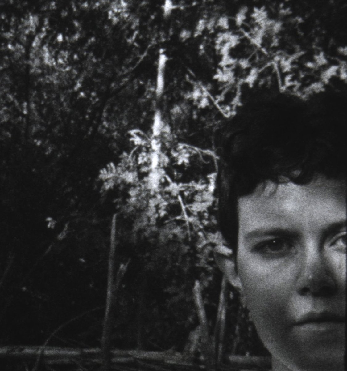 the8fest tweet media