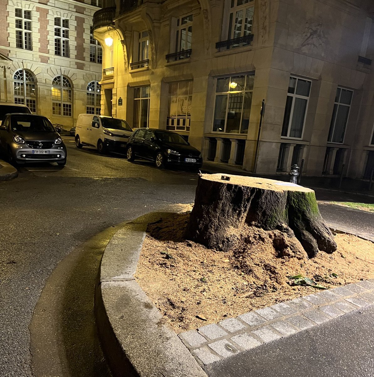 ChaRocher's tweet photo. Le plus majestueux des arbres de la place Furstenberg n’aura pas survécu à la tronçonneuse d’#AnneHidalgo : ça se prétend écolo mais ça coupe des arbres centenaires pour planter des arbustes. La honte. 📸 @JeanneLalique 

           Avant.                              Après. https://t.co/u4UGSLMeM6