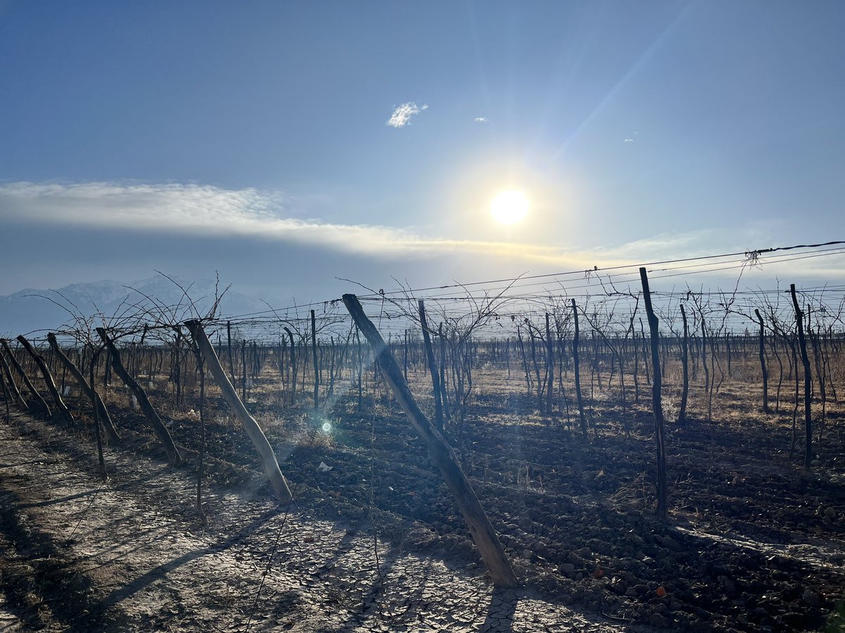 Así Comienza el día en el Valle de Uco
Viñas La Familia 
Viñas Piedras Blanca
<a href="/fincasLattarico/">Fincas Piedras Blancas/La Familia/Bodega Lattarico</a> 
Enólogo: <a href="/PabloBassin/">Pablo Bassin</a> 
LattaricoWines 
Equipo: <a href="/avilacristian18/">Cristian Avila</a>