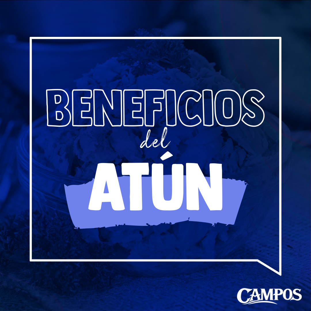 El atún es uno de los pescados más populares y consumidos del mundo, y no es difícil entender el por qué. En esta nueva entrada, exploramos los muchos beneficios del atún. ¡No te los pierdas! 😉

👉🏼 Link: clubcampos.com/clubcampos/ben…

#atun #pescadoazul #atunclaro #pescadoazul #atun