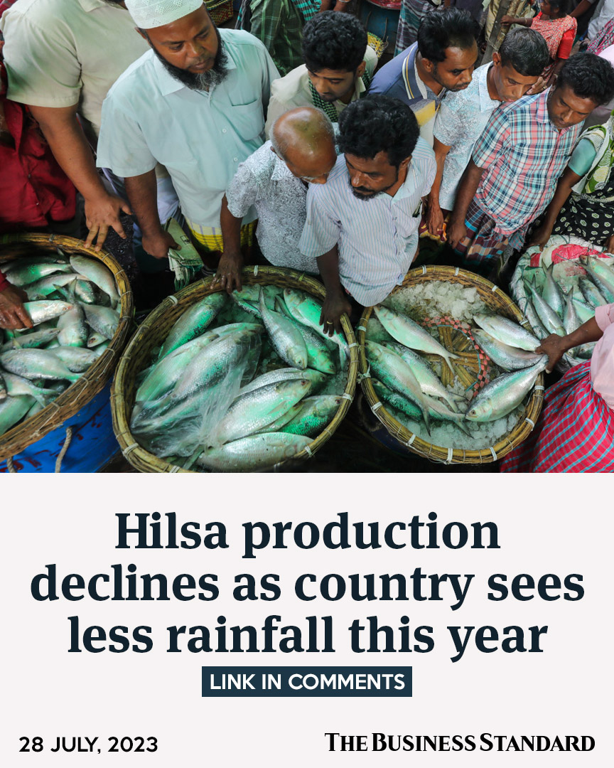 tbsnewsbd's tweet photo. Fishermen have never witnessed such scarcity of hilsa in the past as they are witnessing this year. Experts point to pollution, climate change and a host of other factors
#hilsacatching #hilsaproduction #FishProduction #climatechange #lessrainfall #Bangladesh #TBSNews https://t.co/821r1oUtNe