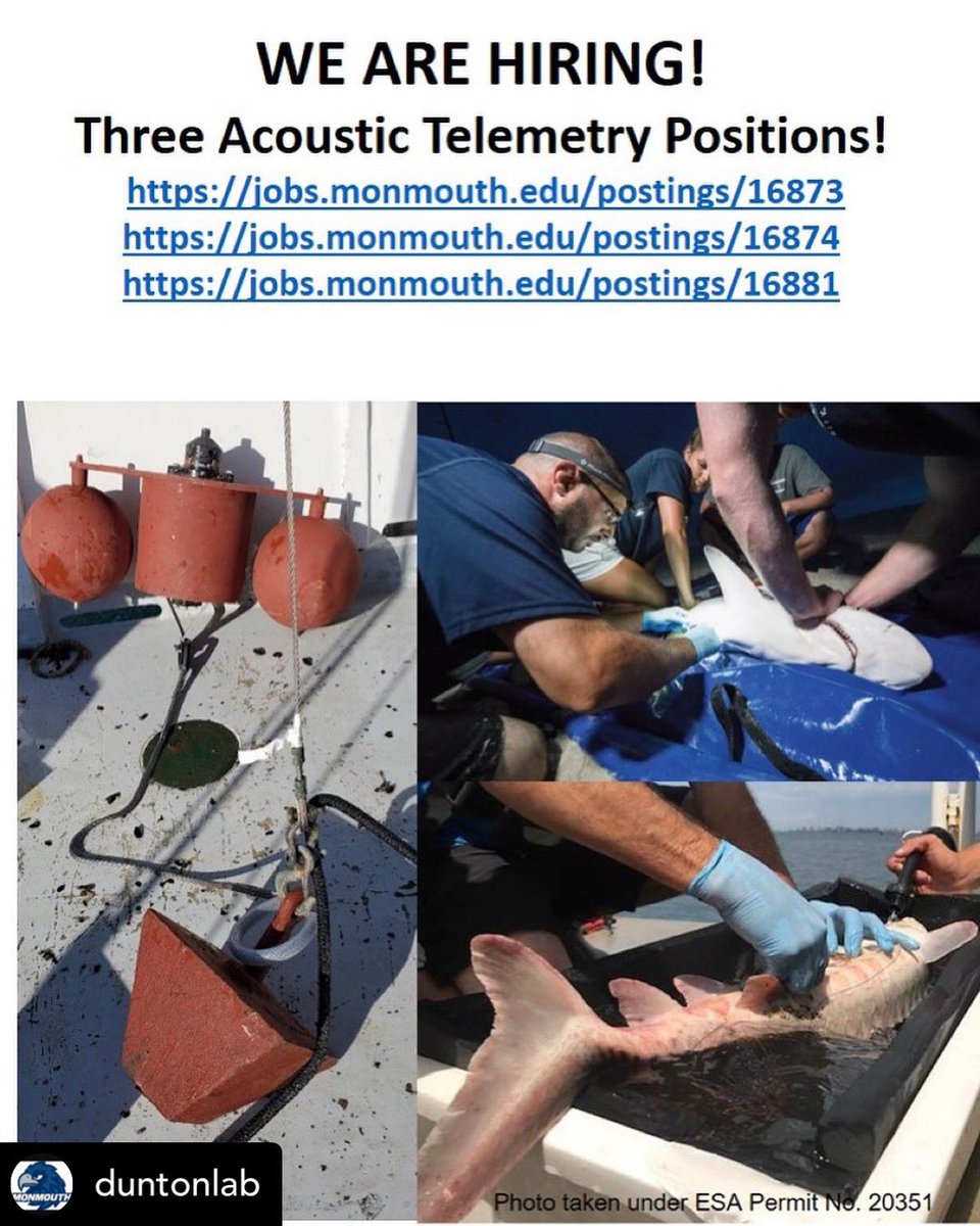 FACT_Network tweet media