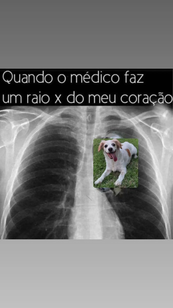 Marcosoficialsl's tweet photo. Amor de papai #pet #dog #Barbie https://t.co/Xdgq3lqJiA