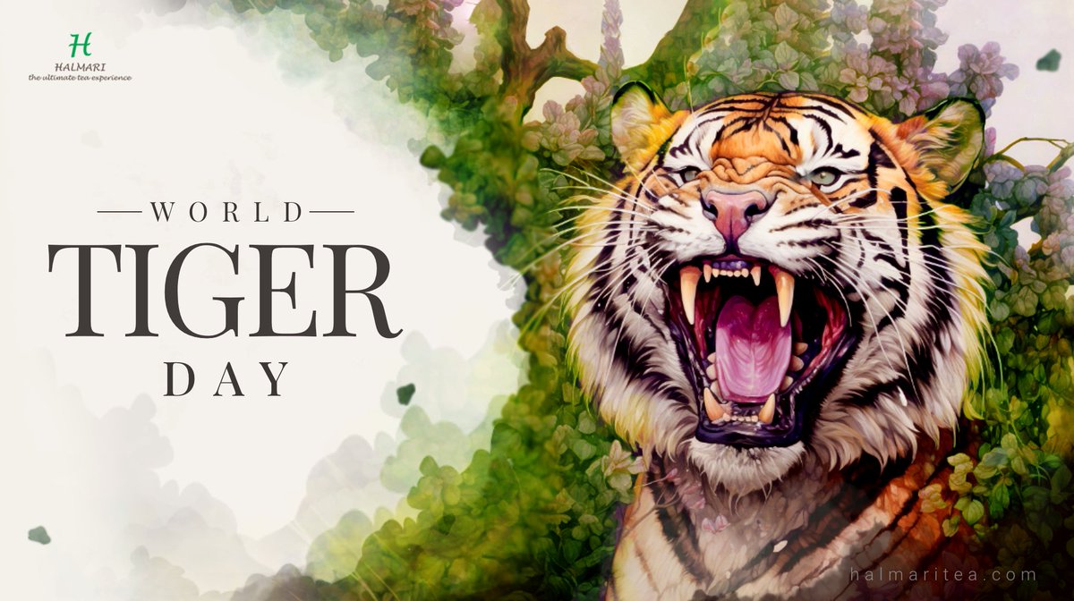 HalmariTea's tweet photo. Tigers are not just icons of beauty and strength; they are crucial indicators of a healthy
ecosystem. But with their decreasing numbers over the years, they are now critically
endangered. #worldtigerday https://t.co/zoZuuuCFd9