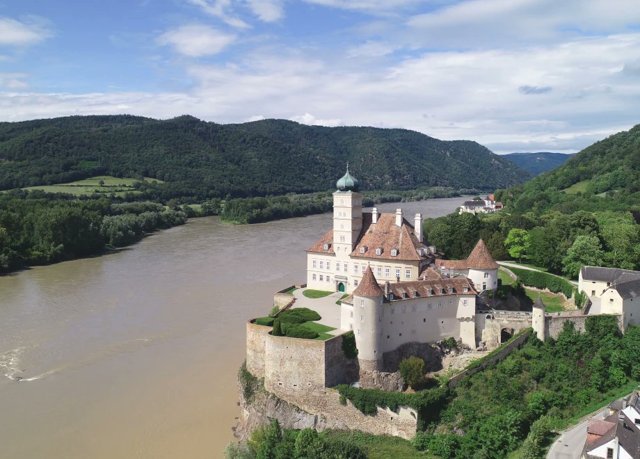 50connect tweet media