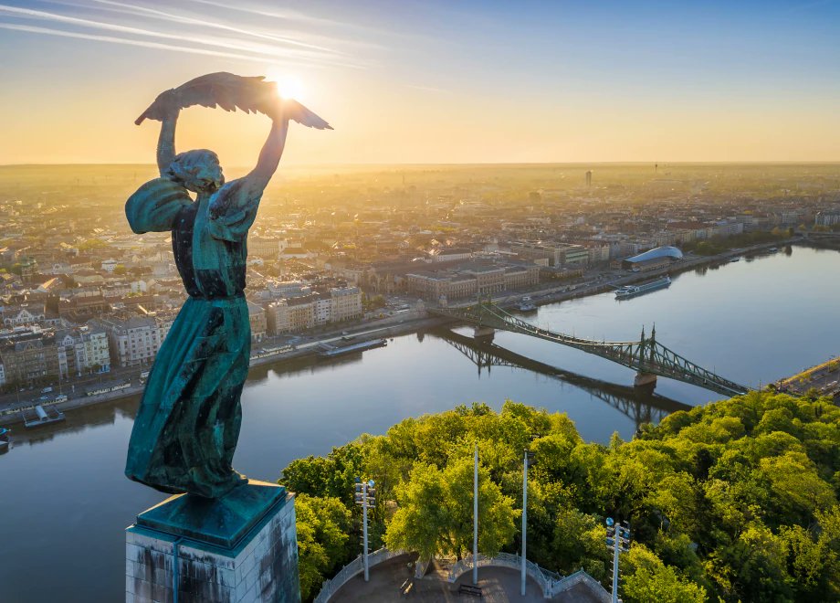 50connect tweet media