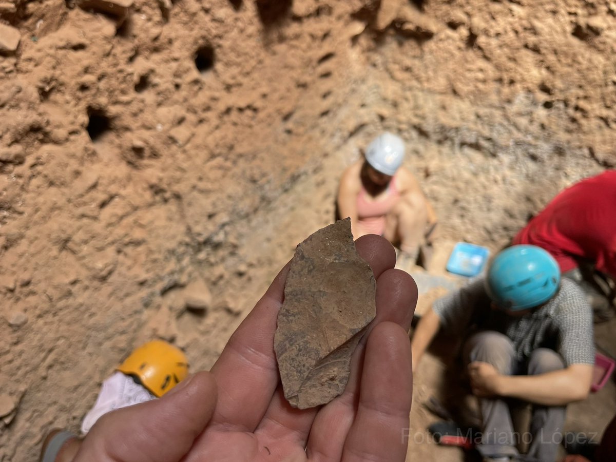 MarianoVLopez's tweet photo. Lasca de silex del nivel actual de excavación (MIS 5) en que también aparecen de manera abundante la caliza y el cuarzo. La cuarcita aparece en mucha menor medida. En los próximos días pondré fotos también de utensilios en estos últimos materiales.
#SimaPalomas23 
#TorrePacheco https://t.co/D0CSXDdEaw