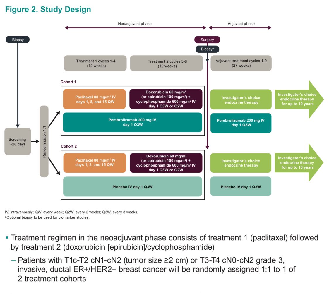 Paolo Tarantino tweet media