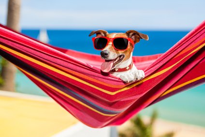 mps_schule's tweet photo. Wir wünschen sämtlichen Kolleginnen und Kollegen, unseren externen Kräften und unseren Schülerinnen und Schülern, sowie deren Eltern, schöne und erholsame Sommerferien! https://t.co/FZmovynOfo