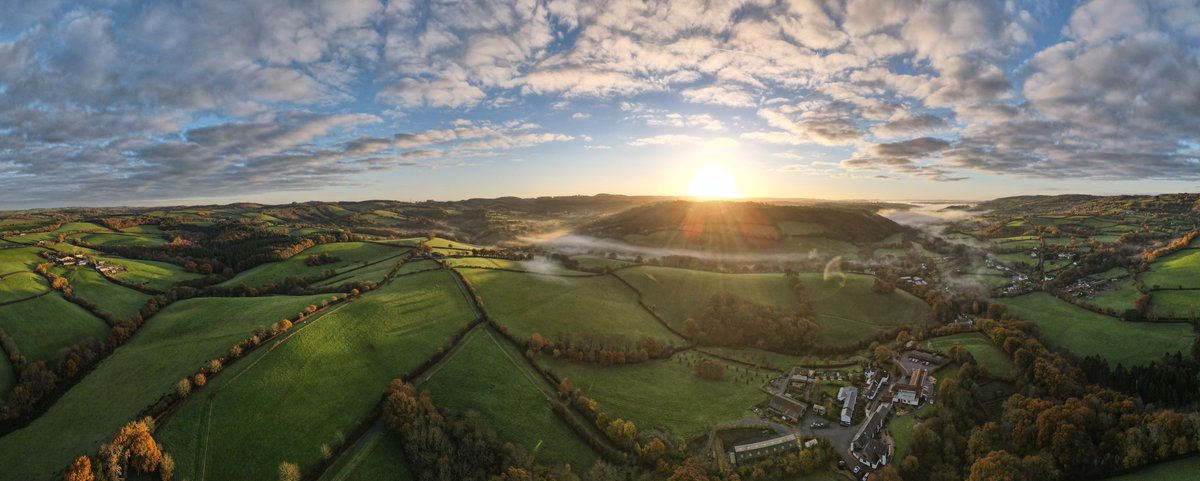 Terra Firma tweet media