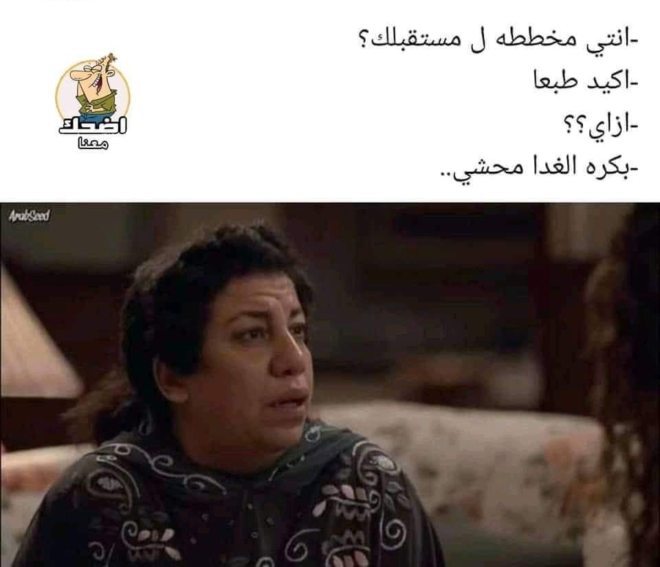 🐈‍⬛↜ ࢪﯾه‍ـــــا۾ 🇪🇬🤍🇵🇸 tweet media