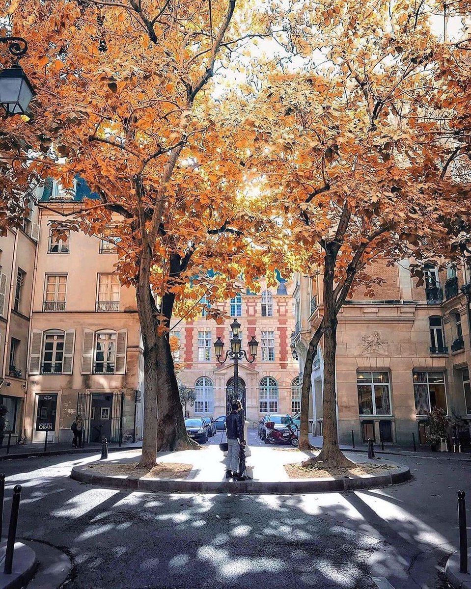 MegannKristyn's tweet photo. @JeanneLalique @jaclostermann @BFleurot Scandaleux ! Et ils vont nous faire croire qu’ils étaient 🤮
C écolos ne savent pas que l'arbre utilise le gaz carbonique de l'air (CO2) en fixant du carbone dans ses tissus, mais aussi dans le sol. Ses effets sont augmentés grâce à sa grande taille et à sa longue durée de vie. https://t.co/1efQg4i99K