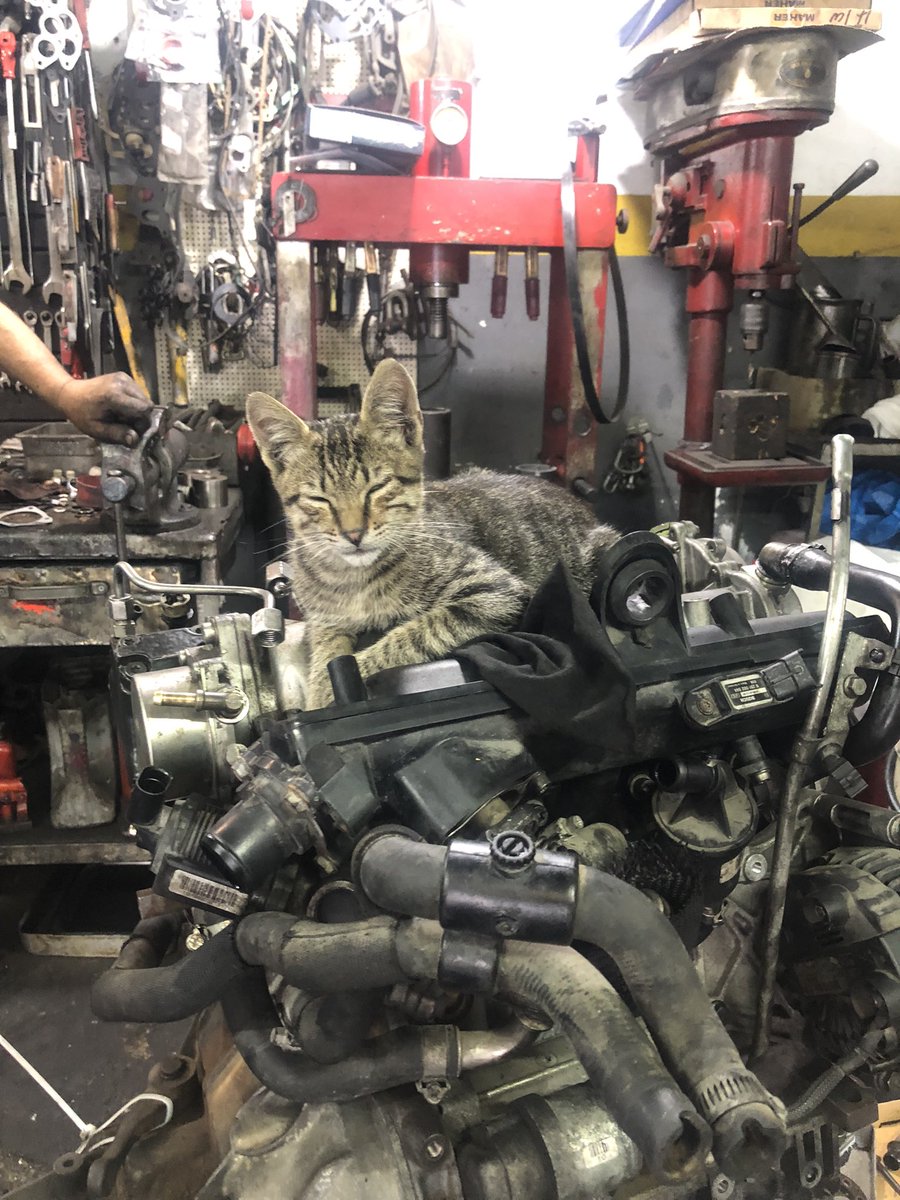 34coskun08's tweet photo. Bizim ustamız motor benim işim dedi 😽 #sanayi #multijet https://t.co/p3TuocAF00
