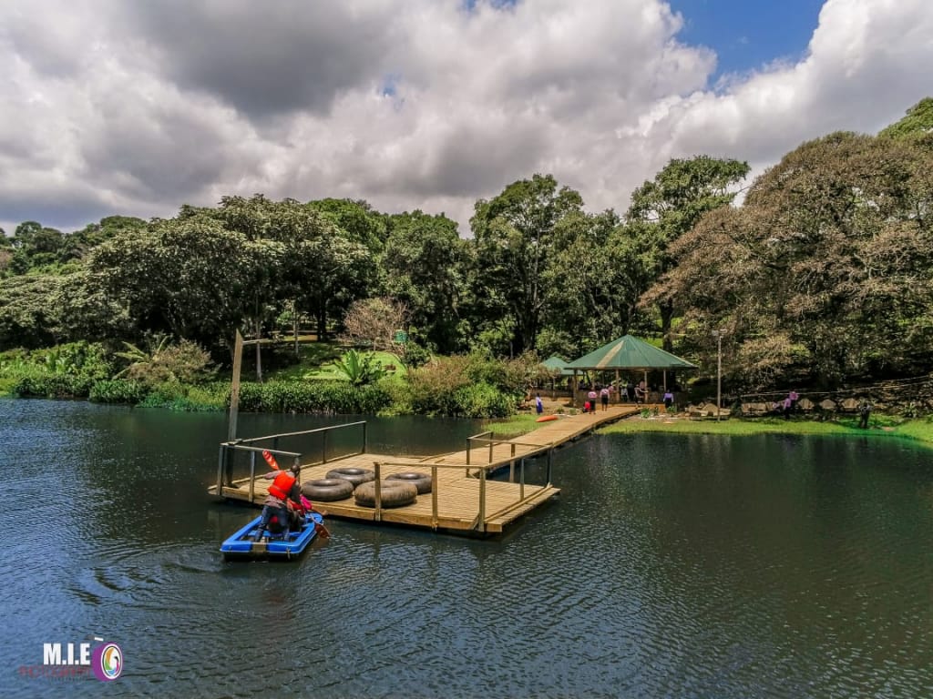 DaviesKinanga's tweet photo. 📍Chesumot Tea Farm, Kericho 

What a breath-taking place to be with family and/ friends during the holiday. Cool breeze, coupled with eye watering lush green tea plantations.

👉https://t.co/ttwwCBLzSb https://t.co/Uu2HcPFGKB