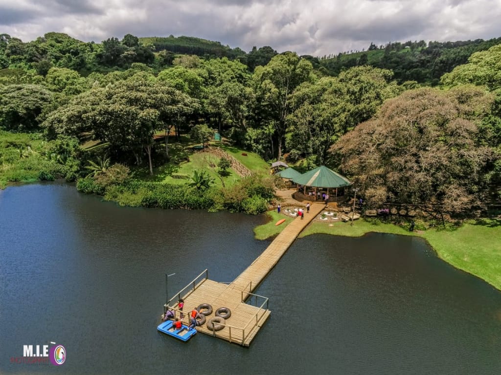 DaviesKinanga's tweet photo. 📍Chesumot Tea Farm, Kericho 

What a breath-taking place to be with family and/ friends during the holiday. Cool breeze, coupled with eye watering lush green tea plantations.

👉https://t.co/ttwwCBLzSb https://t.co/Uu2HcPFGKB