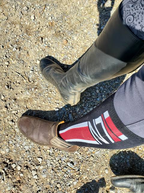 Akas19916788's tweet photo. @pvmihalache @AcrossProtocol @UMAprotocol @ETHGlobal My lucky socksss
#SocksBattle https://t.co/vE8hsNfism