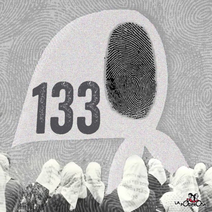 Hermosa noticia: Las Abuelas de Plaza de Mayo han encontrado al nieto 133. Hijo de  Cristina Navajas y Julio Santucho, el nieto de la Abuela Nélida Navajas 🌹