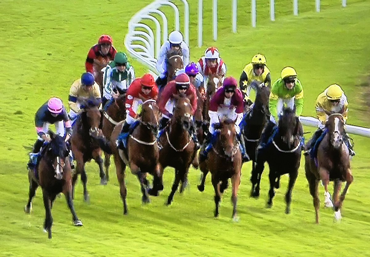 amajox's tweet photo. Congrats @amajox @JacksIJFwalk WINS #PearlyCow @yorkracecourse for @karl_burke aboard #TeleRed #13ran #topride #topjock 👌👏👏👏 https://t.co/6tEZMQPqxS