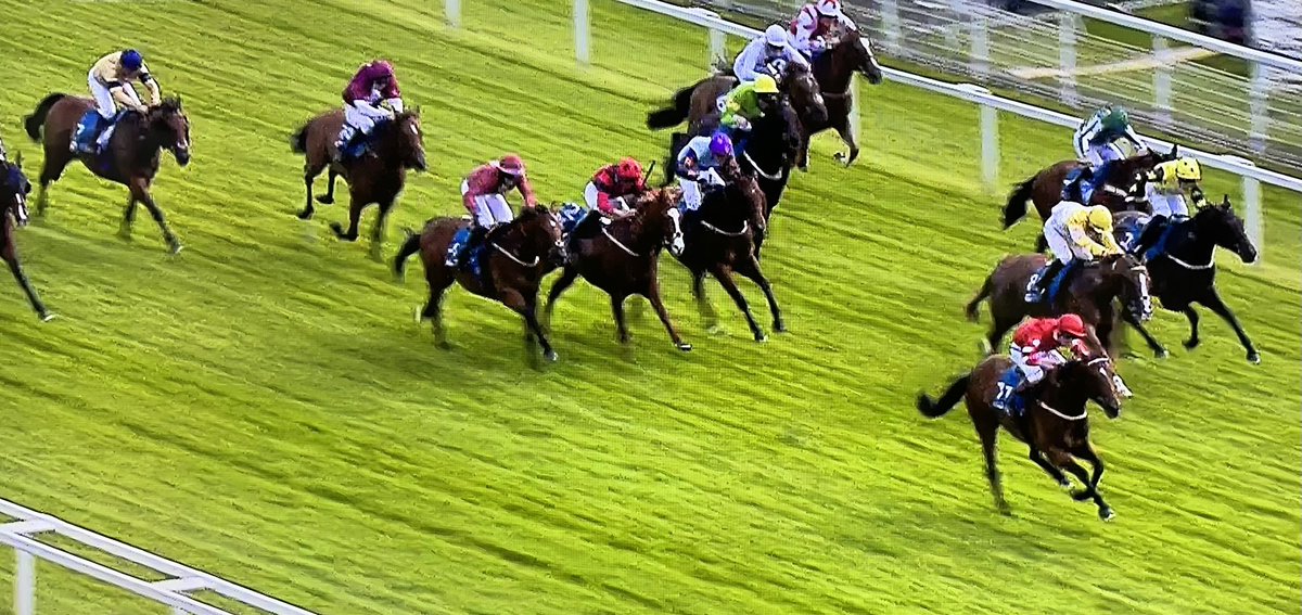 amajox's tweet photo. Congrats @amajox @JacksIJFwalk WINS #PearlyCow @yorkracecourse for @karl_burke aboard #TeleRed #13ran #topride #topjock 👌👏👏👏 https://t.co/6tEZMQPqxS