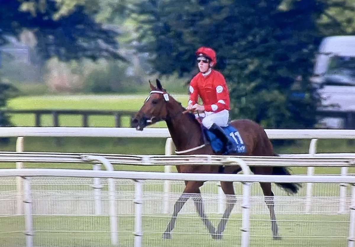 amajox's tweet photo. Congrats @amajox @JacksIJFwalk WINS #PearlyCow @yorkracecourse for @karl_burke aboard #TeleRed #13ran #topride #topjock 👌👏👏👏 https://t.co/6tEZMQPqxS