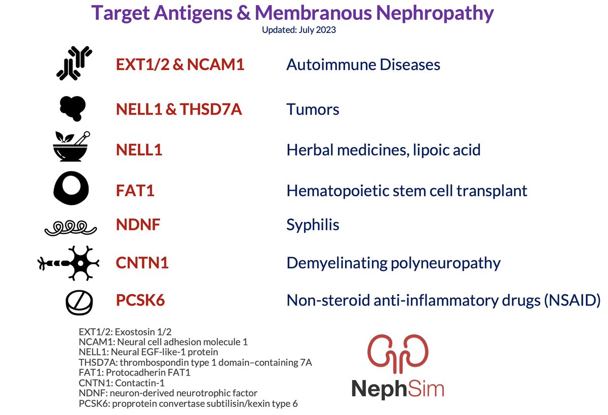 🎯 Target antigens & membranous nephropathy 🎯

nephsim.com/image-gallery/…

Inspired by @sethirenalpath:
twitter.com/SethiRenalPath…

#Nephrology #FOAMed #KidneyPath #MedEd