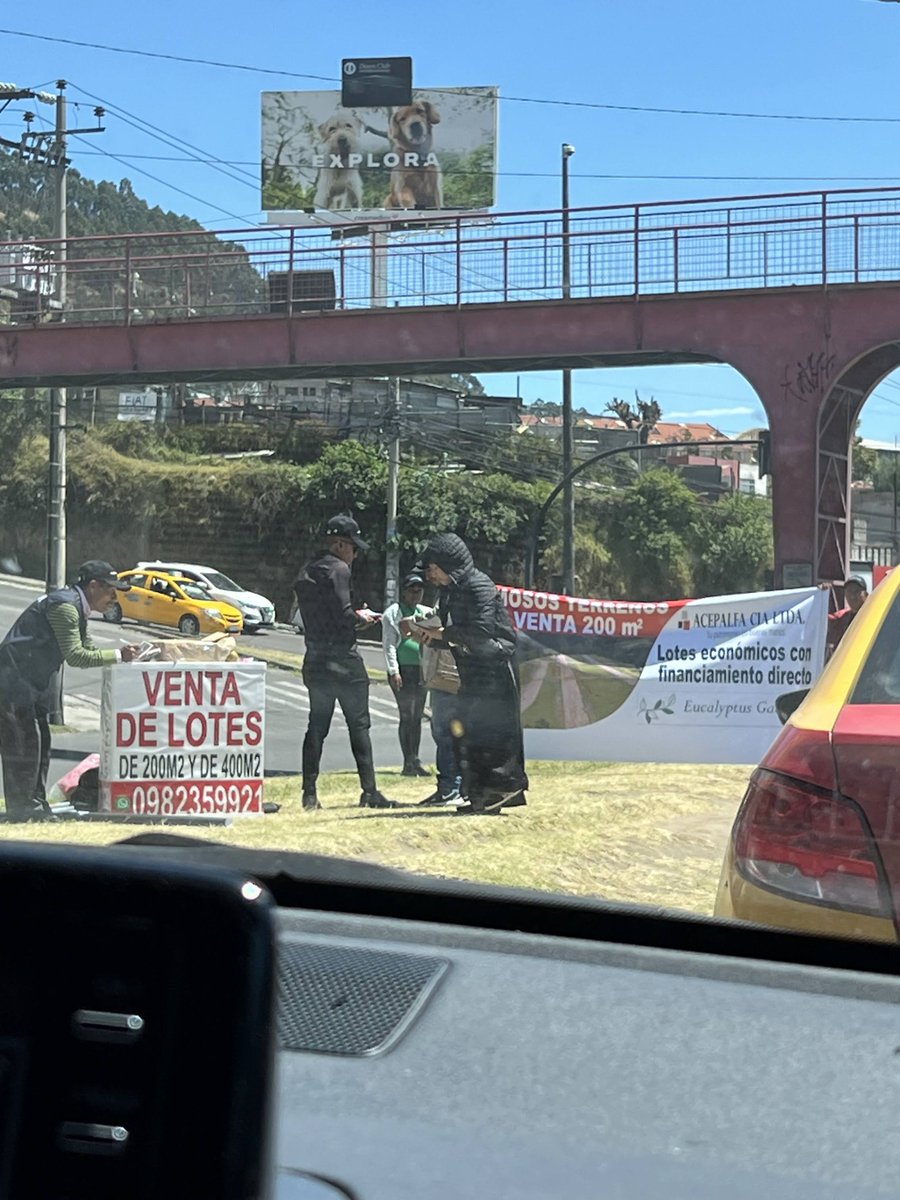 quebradasviano's tweet photo. @amcquito @pabelml @liradelapaz @estefania_gru  Estimados, en la Av. Mariscal Sucre y Legarda están publicitando la venta de lotes de 200m2. Esto es justamente lo que genera la proliferación de barrio ilegales. Están ocupando espacio público. https://t.co/RjqpFf1P7H