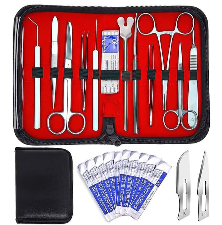 ⭕ DISSECTING INSTRUMENTS KIT ⬇️

Dissection Kit for Students includes basic surgical instruments for lab experiments. 

Contact us through the (Email ✉️)
dollarrinternational@gmail.com

#surgeryinstruments #surgicalscopes #beautyscissorsuplier #beautyscissorskit #beautyscissors