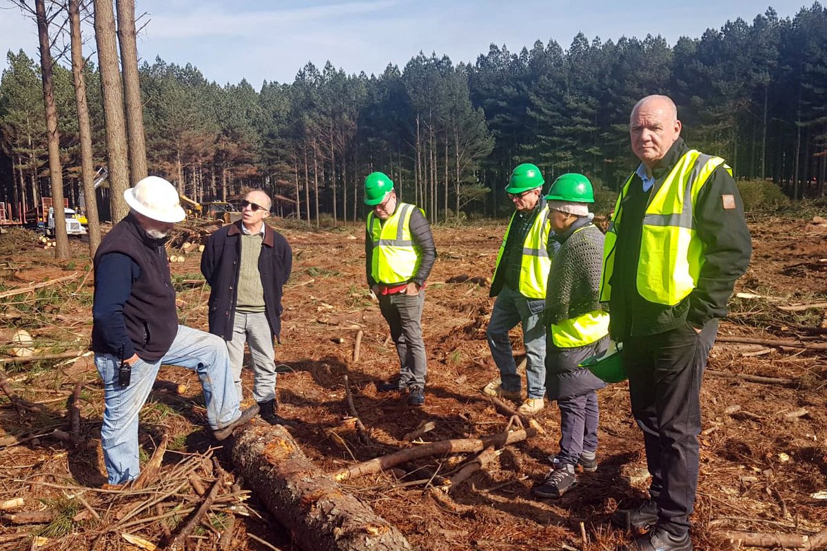 MIEM_Uruguay's tweet photo. En el marco de las recorridas que viene realizando el Centro Tecnológico Forestal Maderero, que preside el subsecretario @walterverri, se visitaron instituciones y emprendimientos vinculados a ese sector productivo en Rivera, como las empresas Fymnsa, Urufor, Nortimber y Morgavi. https://t.co/fq3cMij3W6