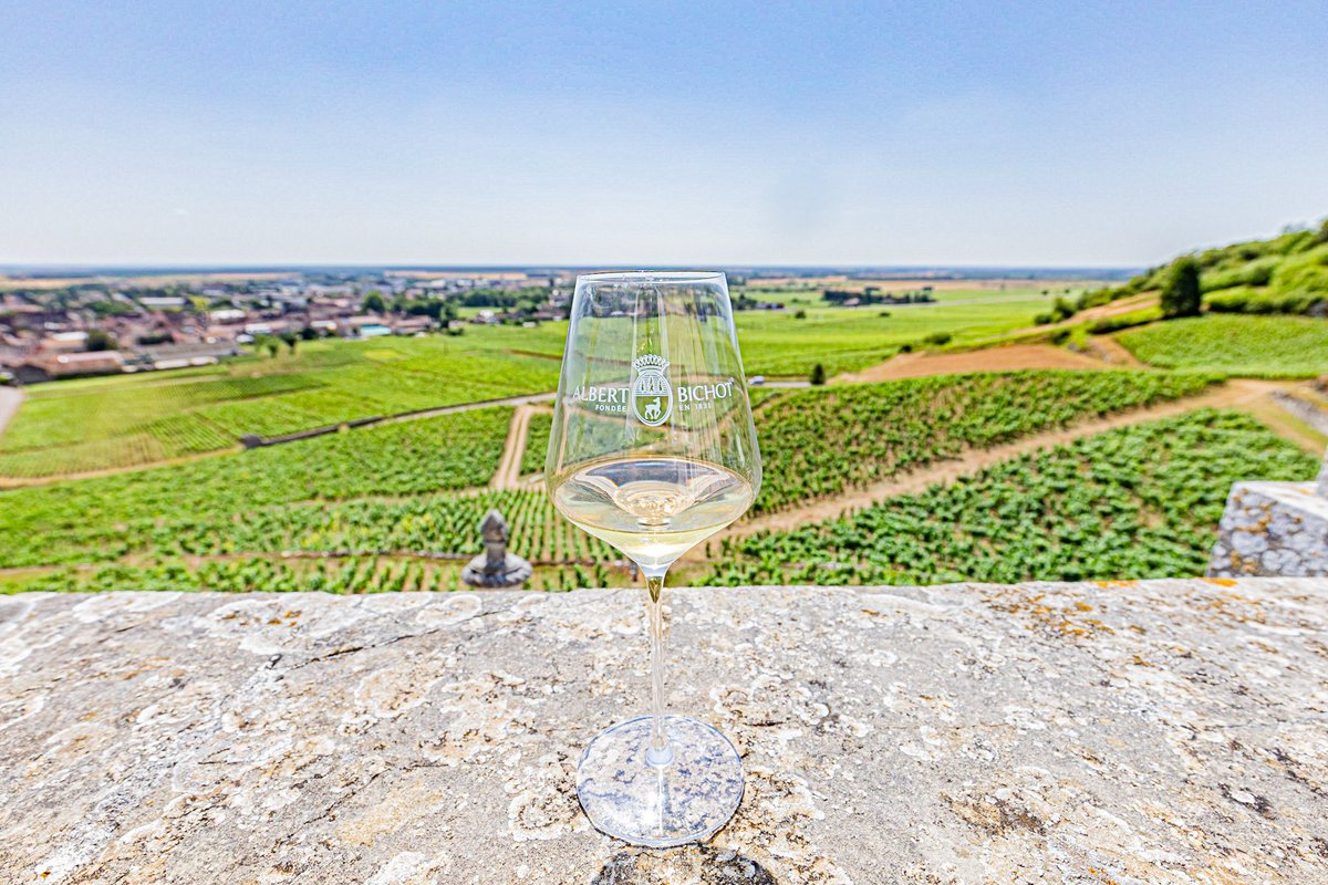 KyonyxPhoto's tweet photo. Série "Caves aux trésors" Escapade au Château-Gris
La vue depuis le majestueux Château-Gris laisse entrevoir les délices dont il regorge.
#cave #caveavin #closfrantin #burgundy #albertbichot #wine #vins #nuitssaintgeorges #chateaugris #climatsdebourgogne #magnifiquefrance https://t.co/LoLzaw4ywb