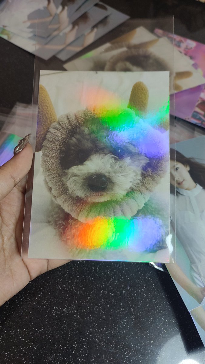 seokjixnn's tweet photo. Holo photocard https://t.co/kvFUpNEef2