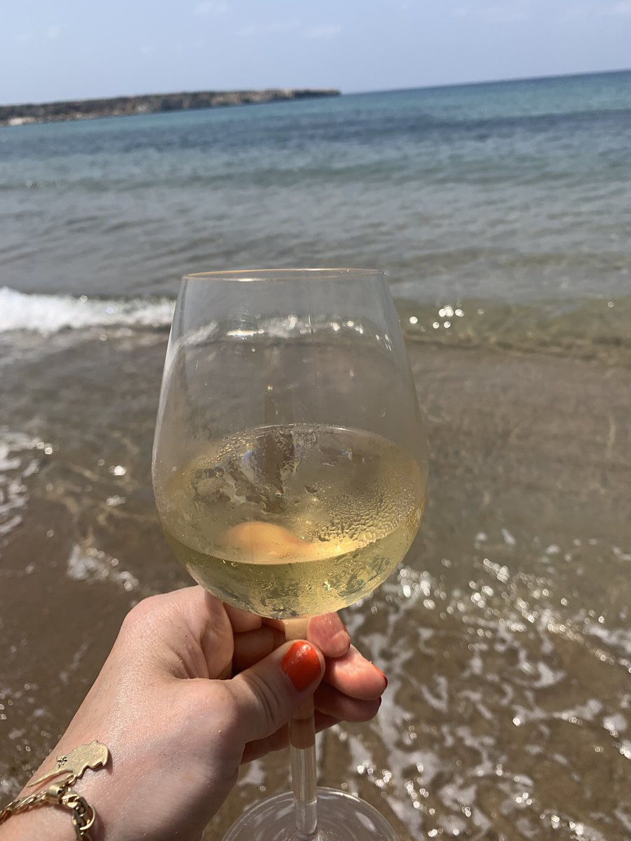 linde_g08's tweet photo. #Lara beach #akamas 2023 …then of course beautiful food at #viklari #thelastcastle #cyprus https://t.co/V4ZTATlvoG