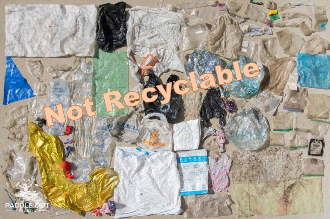 Paddle Out Plastic tweet media