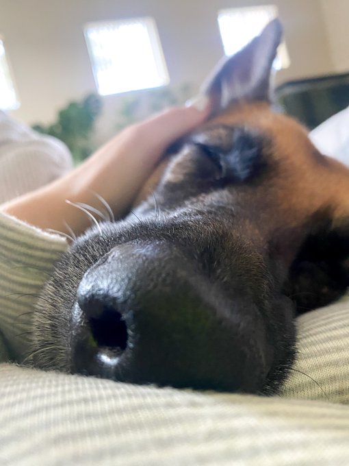 We are having a lazy morning https://t.co/b37o4JIptE