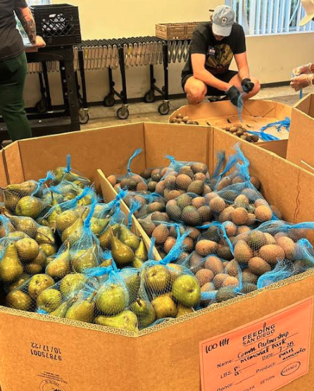 LiquidInstrmnts's tweet photo. At #LiquidInstruments, one of our core values is breaking new ground. This means finding new ways to give back to our communities. Yesterday, we teamed up with @FeedingSanDiego to support 2,000 local families.
Learn more about our mission and values: https://t.co/lYqAr83Usn https://t.co/OLegANwjEp