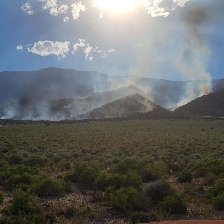 UtahWildfire's tweet photo. #BettridgeFire is currently 329 acres and has reached 10% containment. Minimal fire behavior this morning but strong &amp; gusty winds are predicted in the area this afternoon. Resources working to contain the fire include 1 helicopter, 8 fire engines, and 2 dozers. https://t.co/r6x0Bczbh1