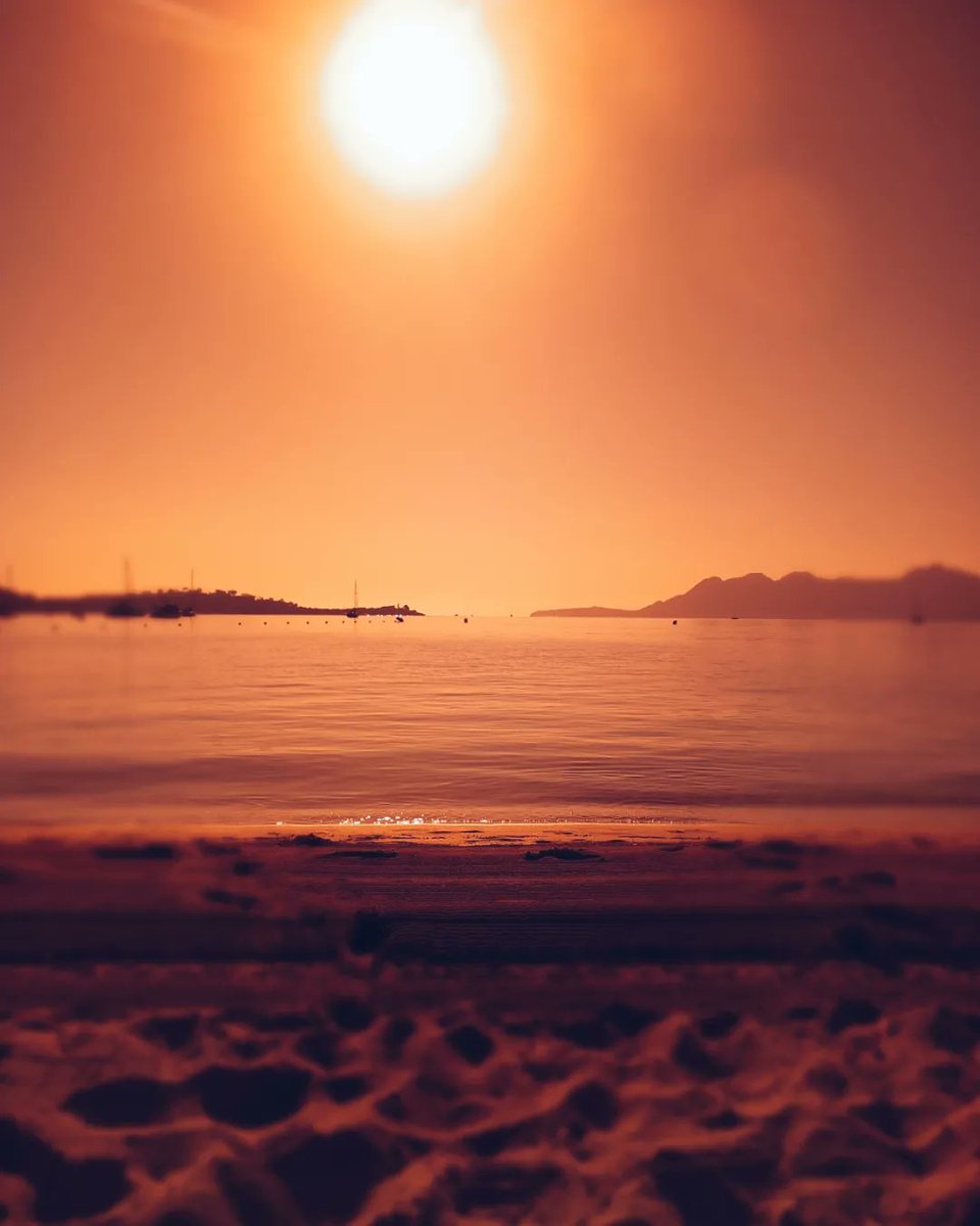 Alícia Serrat tweet media