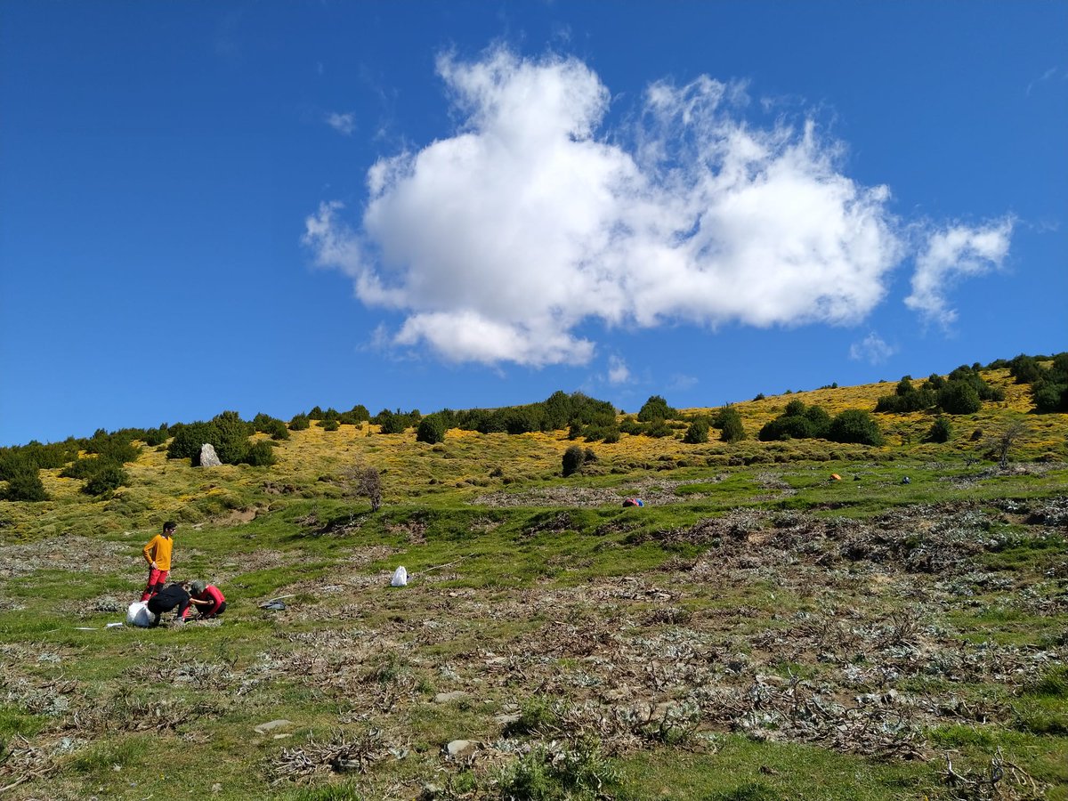 EPSunizar's tweet photo. Nuestros #edafólogos, capitaneados por el profesor Badía, están estos días haciendo trabajo de campo, muestreando suelos por Asín de Broto, en la comarca de #Sobrarbe.

#AsíndeBroto
#muestreodesuelos
#edafología
#edafólogos
#suelos https://t.co/1sTHxcgnlD