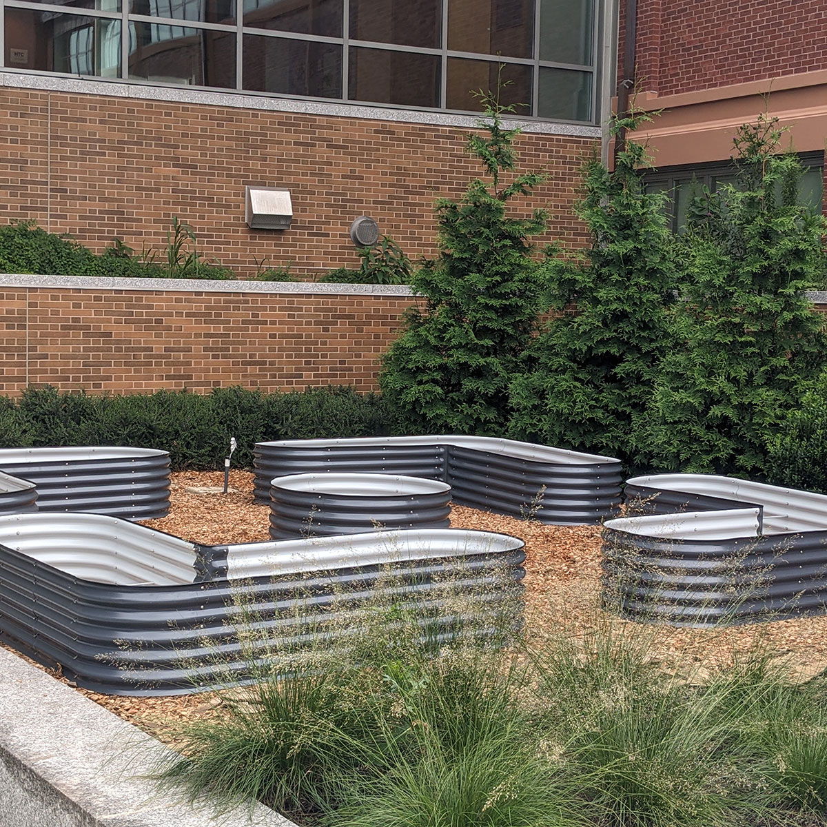 Thank you Green Team for prepping the space, laying woodchips, &amp; building beds for the new garden for SHS &amp; Next Wave / Full Circle! The DPW provided the woodchips and Groundwork Somerville obtained the funds for the project. #garden #schoolgarden #somerville #highschool